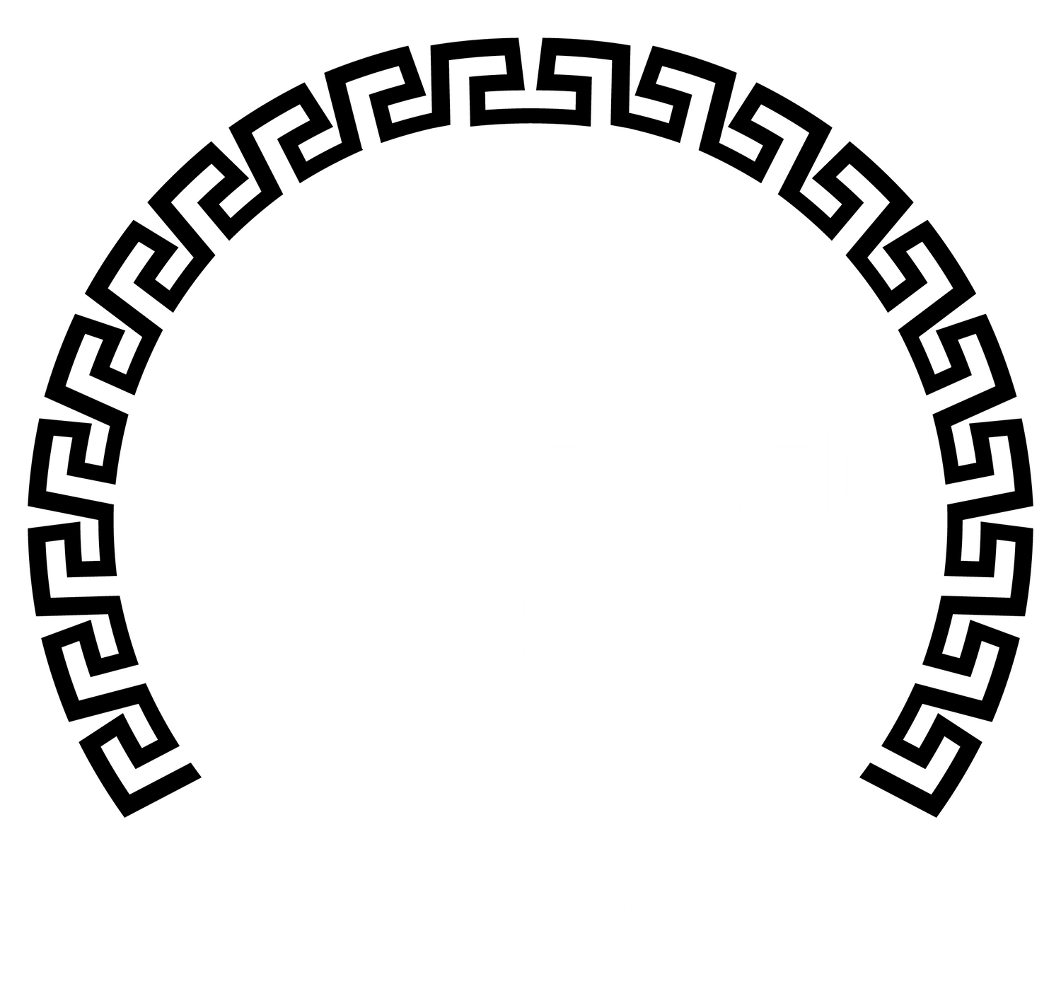 CONCEALED CARRIERS